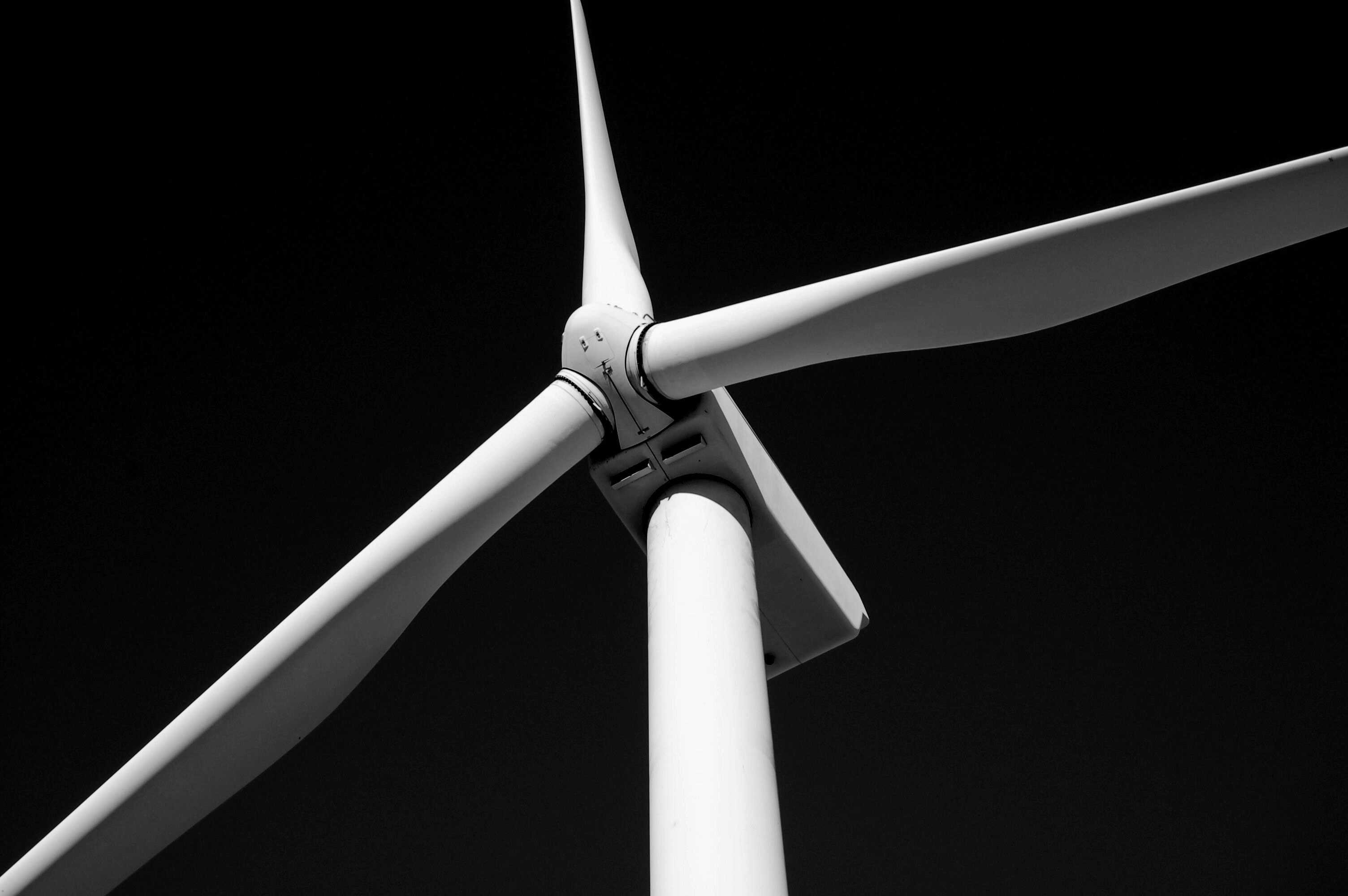 Offshore wind turbine black and white